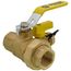 Webstone 40434 Ball Valve Lead Free Forged Brass 1 Inch IPS Union Reversible