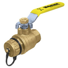 Webstone 40312W Ball Valve Lead Free Brass 1/2 FIPxHose with Cap Full Port