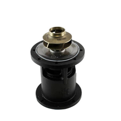 LAARS A2123418 WATER PUMPS