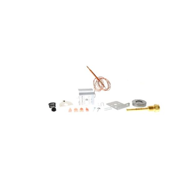LOCHINVAR 100157720 CONTROL BOARDS