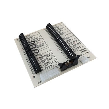 LOCHINVAR 100277838 CONTROL BOARDS