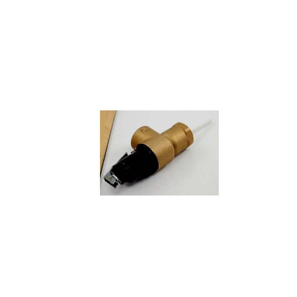 LOCHINVAR 100208453 RELIEF VALVES