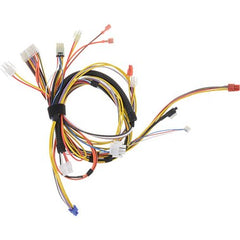 LOCHINVAR 100275616 CONTROL BOARDS