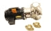 LOCHINVAR 100166409 WATER PUMPS
