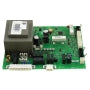LOCHINVAR 100167768 STANDARD GAS BOILERS