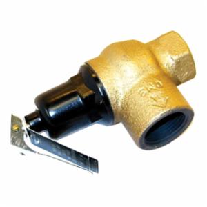 LOCHINVAR 100208442 RELIEF VALVES