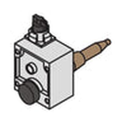 BRADFORD WHITE 265-40595-04 GAS VALVES