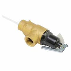 LOCHINVAR 100208445 RELIEF VALVES