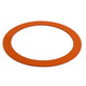 LOCHINVAR 100208108 GASKETS