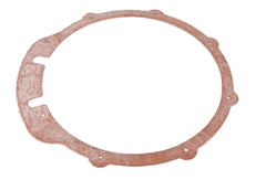 LOCHINVAR 100326229 GASKETS