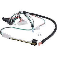LOCHINVAR 100304119 MOTOR WIRING HARNESSES