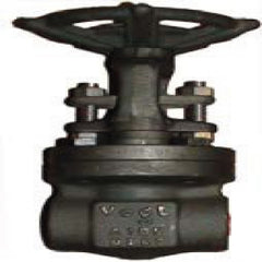 Vogt 12111.375 VOGT 3/8 Forged Steel Threaded Gate Valve