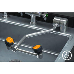 Guardian Equipment GBF1849 Autoflow 1/2 x 1/2 in. Barrier Free Wall Mount Eye Wash with 90 Degree Swing-Down