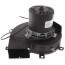 189271776.jpg