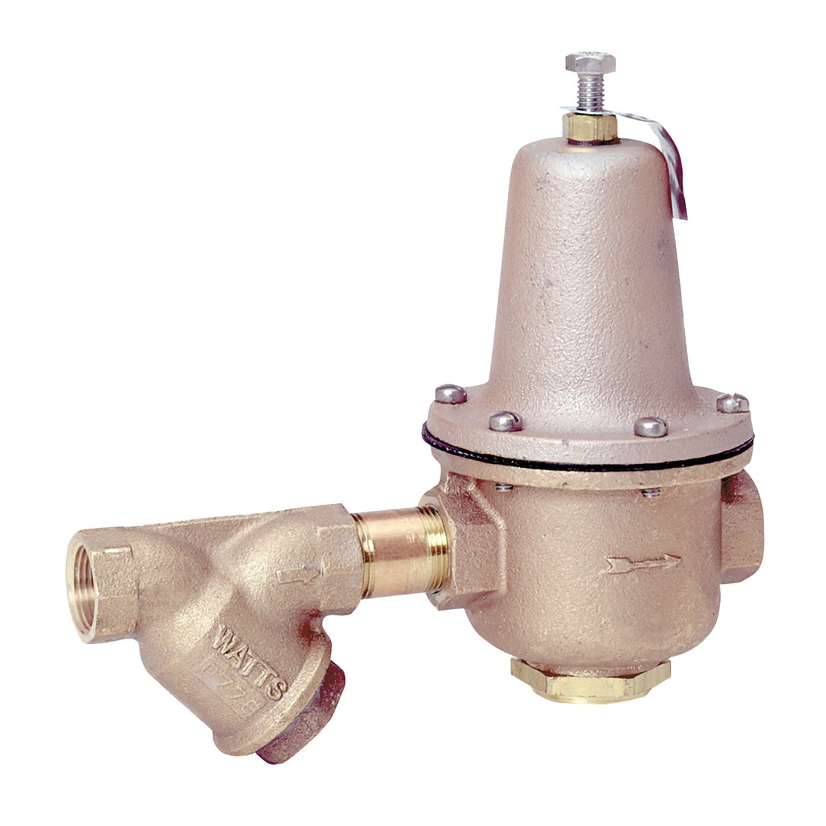 WATTS W-0298524 AIR CLEANER REPLACEMENT PARTS