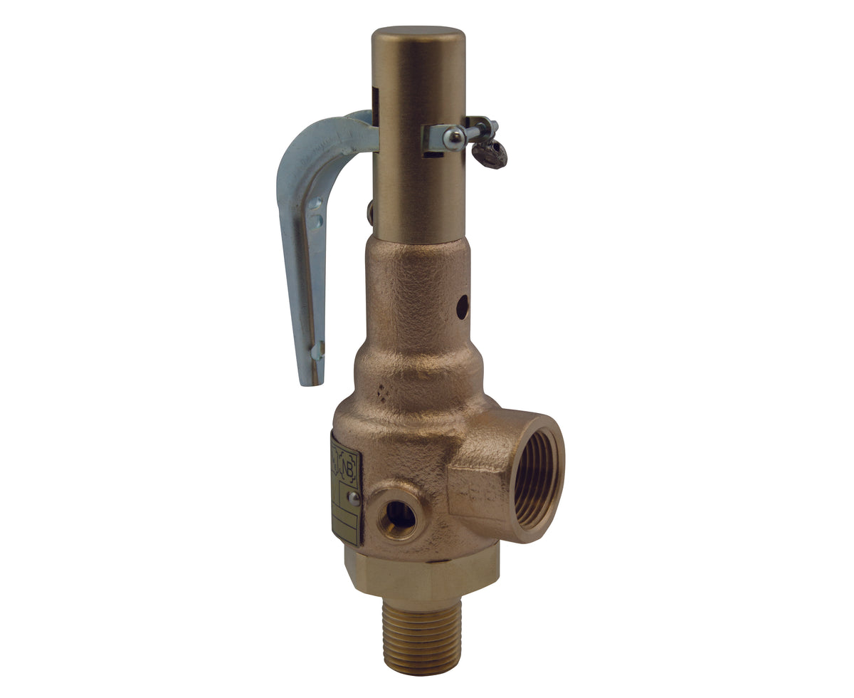 Conbraco 19-KJHL-50 2 in X2.5 in 50# STM Relief Valve, Single Pack