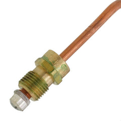 AO Smith 100108267 Thermocouple Kit, Model TC-K24