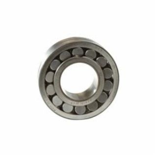REXNORD 22215LBKC3 GAS VALVES