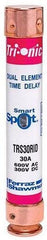 MERSEN TRS30RID FUSES