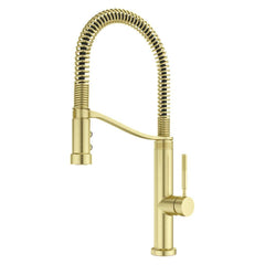 PFISTER GT529-BRUBG KITCHEN FAUCETS