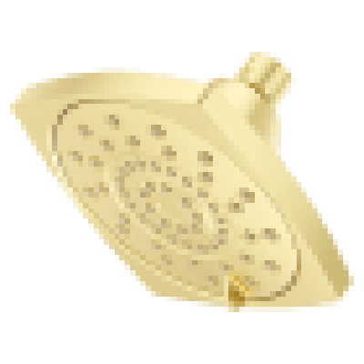 PFISTER 973-255BG SHOWER HEADS