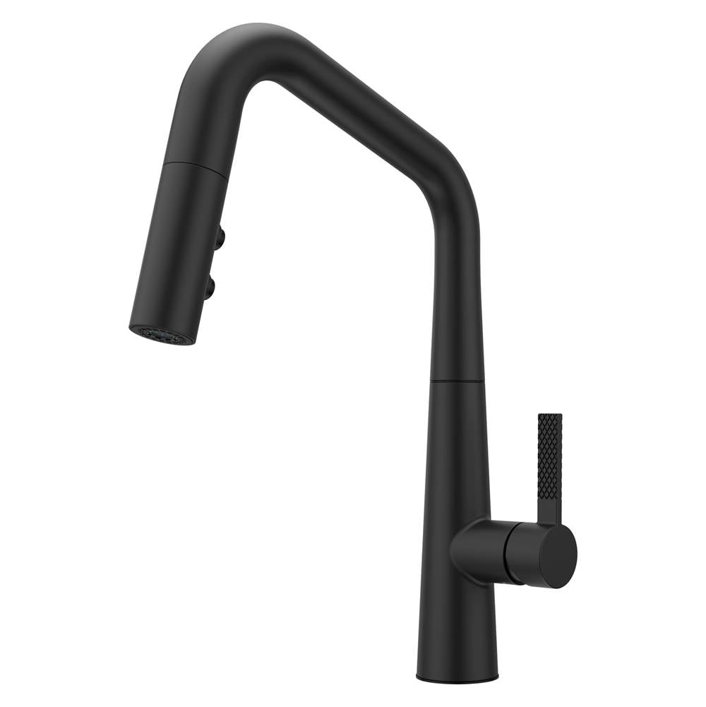 PFISTER GT529-ASRB KITCHEN FAUCETS