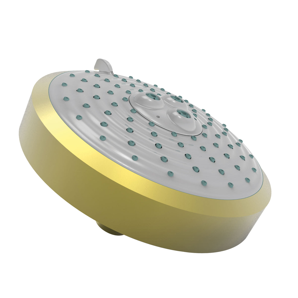 BRASSTECH 2143/04 SHOWER HEADS