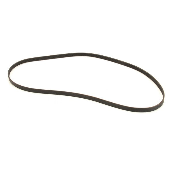 SANISERV 58887 BELTS