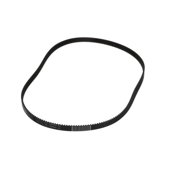 GLOBE 800009 DRIVING BELTS, CHAINS, SPROCKETS
