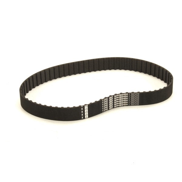 GLOBE X25067-3 BELTS