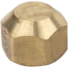 DORMONT SAFETYCAP-04R PIPE FITTINGS