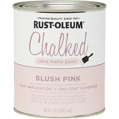 RUST-OLEUM 285142 PAINT SUPPLIES