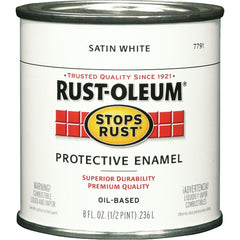 RUST-OLEUM 7791730 RUST PREVENTION