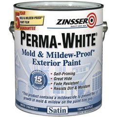 ZINSSER 3101 PAINT SUPPLIES