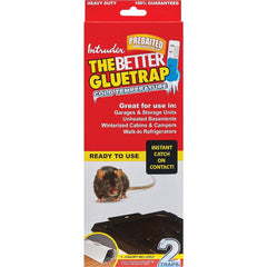 INTRUDER 17515 ADHESIVES, GLUES & CEMENTS