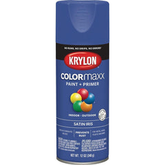KRYLON K05564007 SPRAY PAINTS & PRIMERS