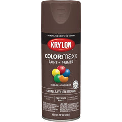 KRYLON K05569007 SPRAY PAINTS & PRIMERS