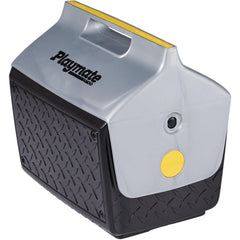 IGLOO 43581 POOL & SPA PUMP PARTS