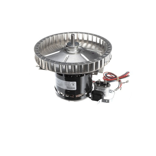 STERO SOLENOID 250-2008 HOUSEWARES & COOKING