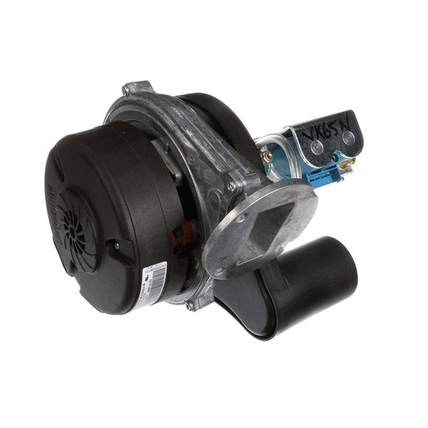 199531627.jpg