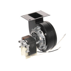 FRYMASTER 8073597 SPLIT PHASE MOTORS