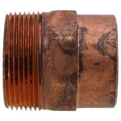 199551298.jpg
