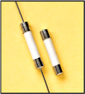 MERSEN GSA2/10 FUSES