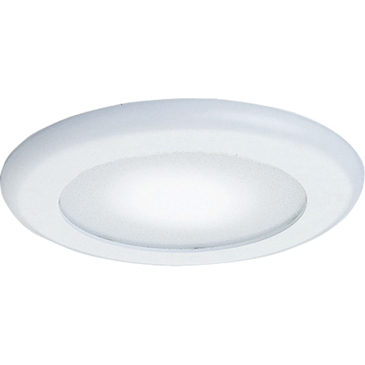 PROGRESS LIGHTING P8008-60 LIGHTING, CONTROLS & ACCESSORIES