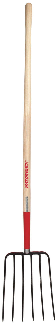 199562674.jpg