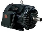 199850031.jpg