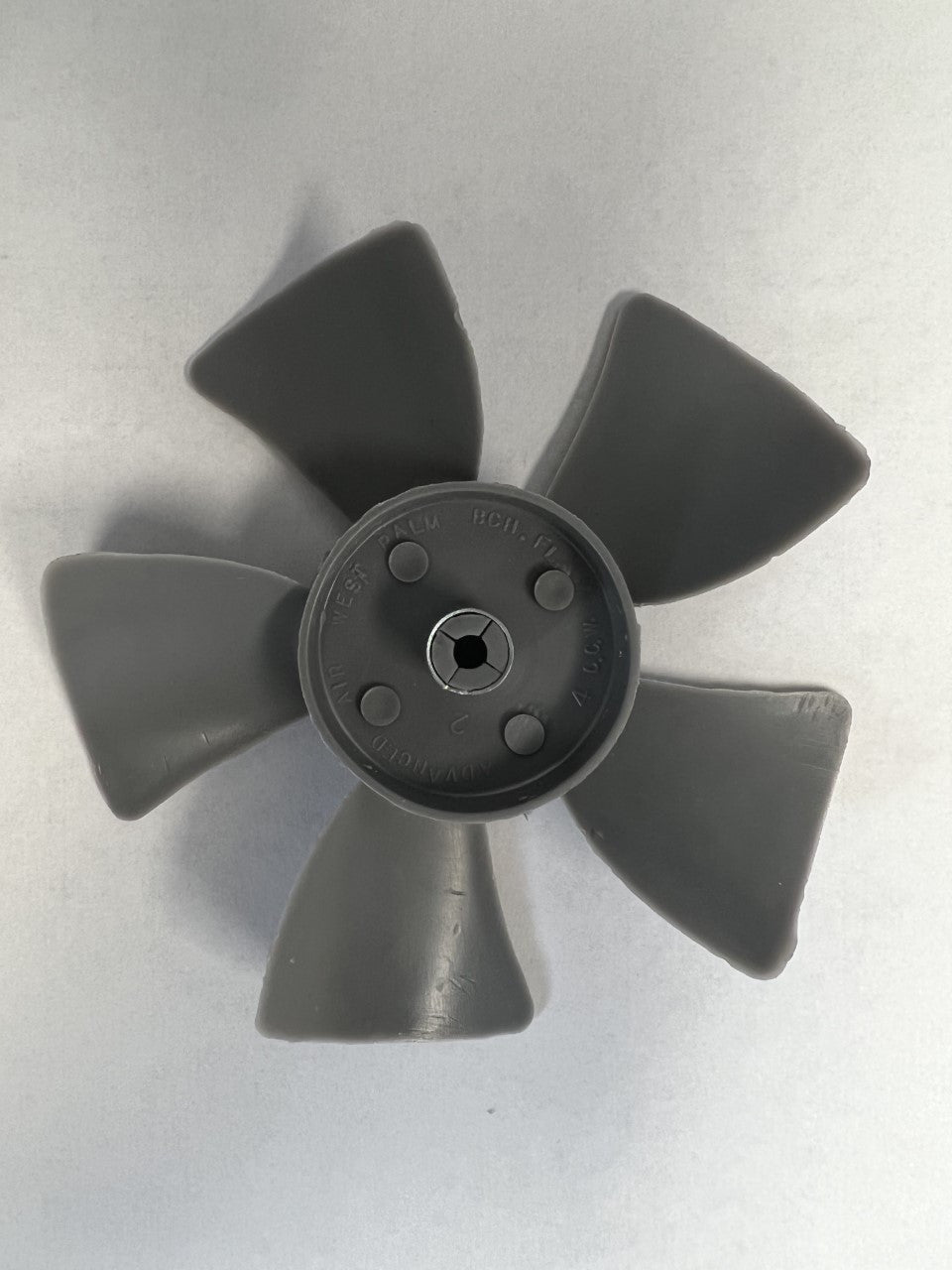 199854602.jpg