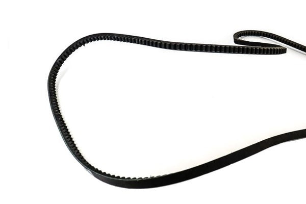 YORK York S1-BX81 Drive Belt BX81 Multi Cogged (Each)