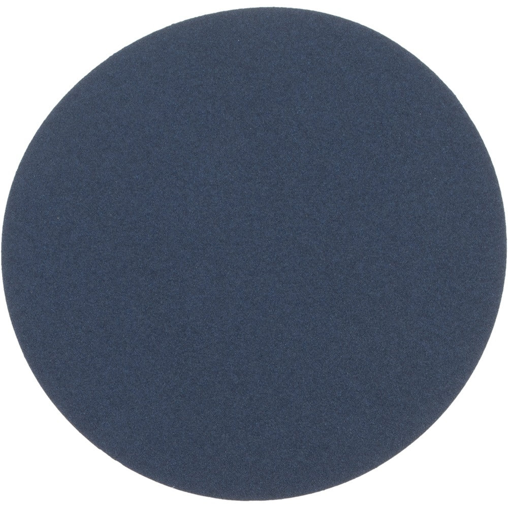 NORTON Norton 66261138317 Psa Disc 10 in 80 Grit Zirconia Alumina