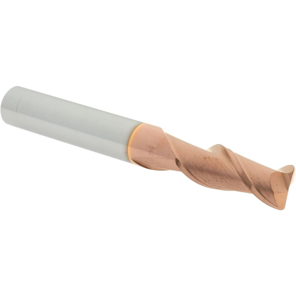 ACCUPRO Accupro 12181377 Corner Radius End Mill 5/16 in Ticn Carbide